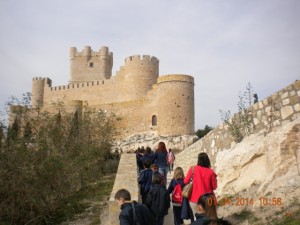DSCN6874
