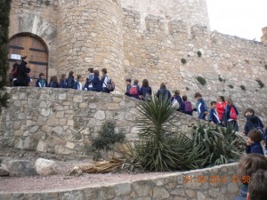 DSCN6877