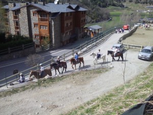 caballos